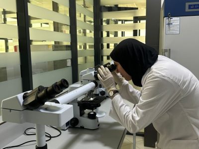 49a18e1e-1742-4aba-8e86-1c883033ff37